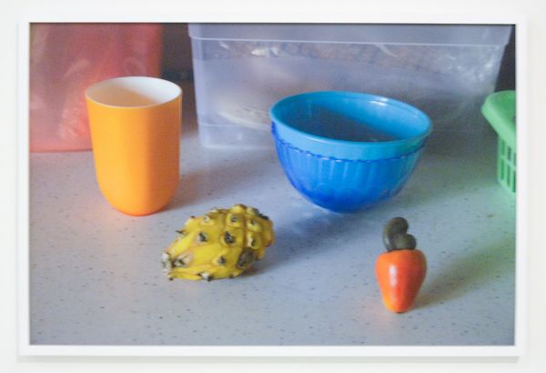 Elspeth Diederix - 4 things Still Life - Ultrachrome print