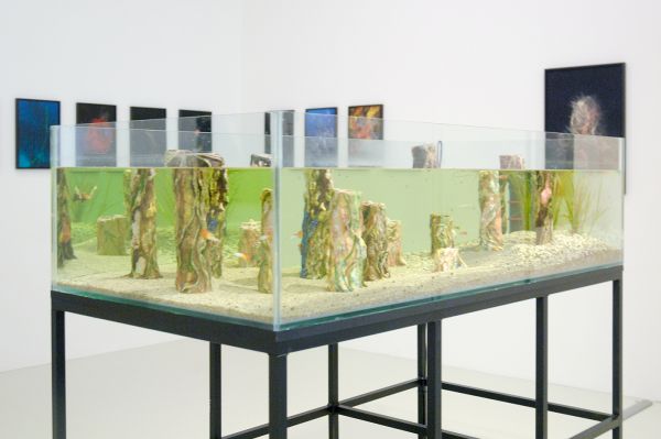 Elspeth Diederix - Anemone Forest (Proposal for an underwater landscape garden) - Keramiek