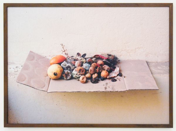 Elspeth Diederix - Fruit Still Life - Ultrachrome print