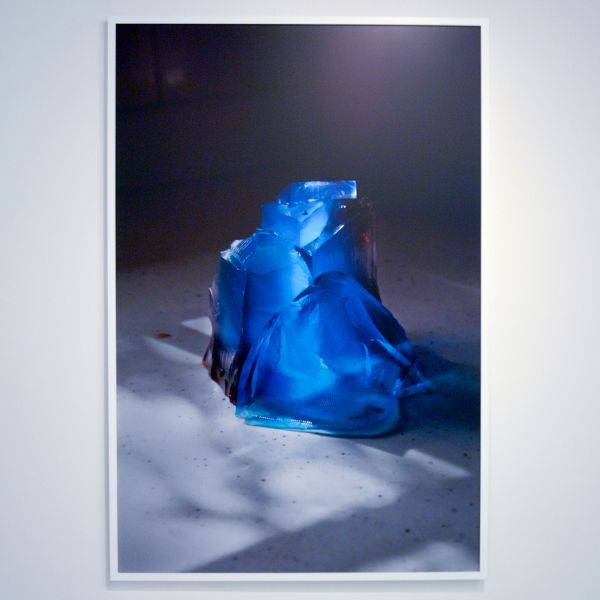 Elspeth Diederix - Jellogem - Ultrachrome print