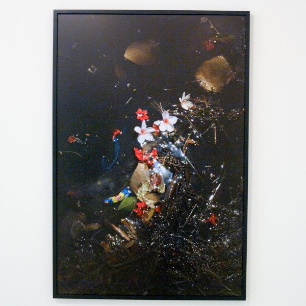 Elspeth Diederix - Karawara & Frangipani - Ultrachrome print