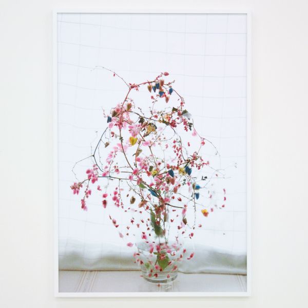 Elspeth Diederix - Pink Yellow Blue - ULtrachrome print