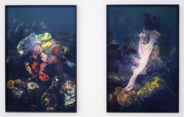 Elspeth Diederix - Shape Two & Colorshape - Fine art print