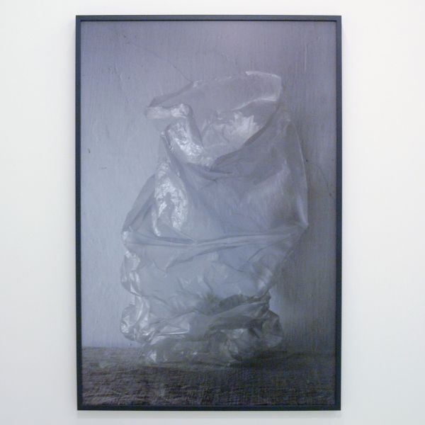 Elspeth Diederix - Splendid - Ultrachrome print