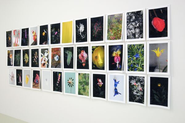 Elspeth Diederix - The Studio - Glicee Prints