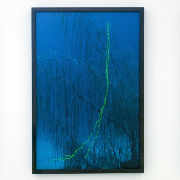 Elspeth Diederix - Yellow String - Ultrachrome print