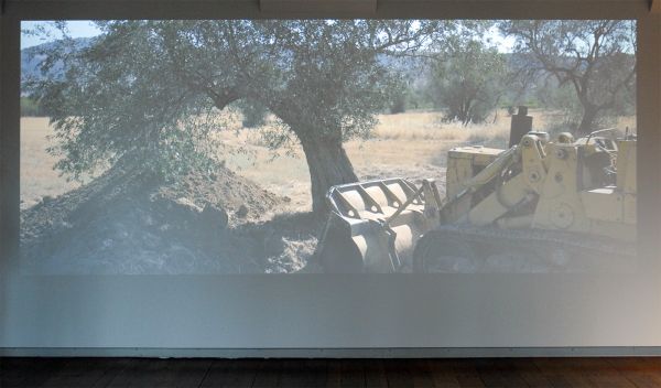 Janis Rafa - This Thin Crust of Earth - 2016