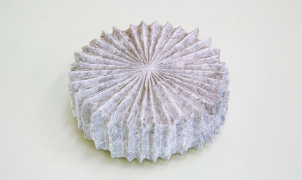 Paul Damste - Zonder titel - Marmer