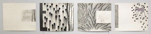 Museum de Buitenplaats - Arno Kramer