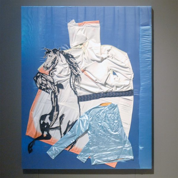 Wouter Paijmans - Logo - 150x200cm Polyester textiel, zijde, draad, punaise en lakverf