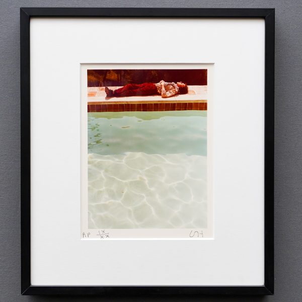 Flatland - David Hockney