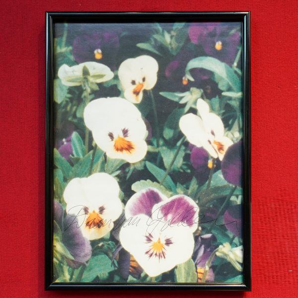 LightArt - Daan van Golden