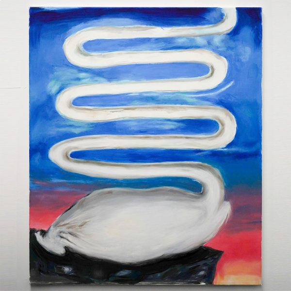 Micha Patiniott - The Swan - 90x75cm Olieverf op polyester canvas