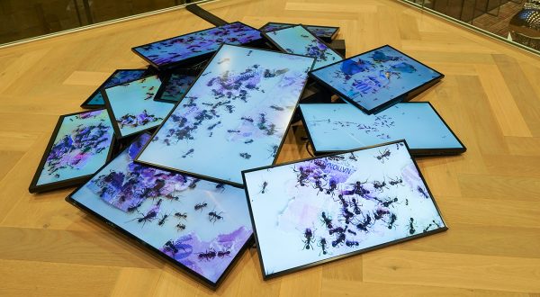 Ursula Palla - Thousand part 2 - Video Installatie