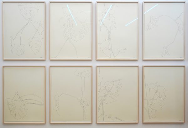 Borzo - Ronald Zuurmond