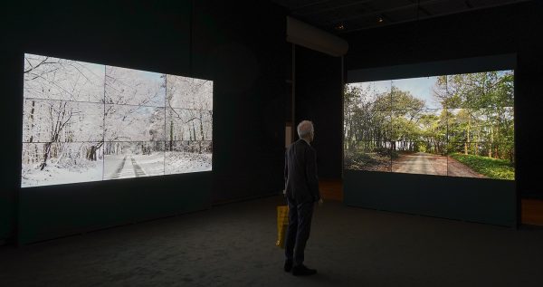 David Hockney - De vier seizoenen, Woldgate Woods (lente 2011, zomer 2010, herfst 2010, winter 2010) - 4,21minuten, 36 digitale video's