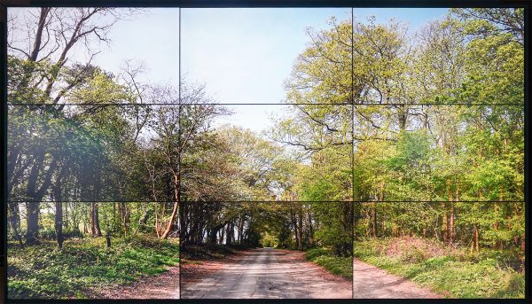 David Hockney - De vier seizoenen, Woldgate Woods (lente 2011, zomer 2010, herfst 2010, winter 2010) - 4,21minuten, 36 digitale video's (detail)