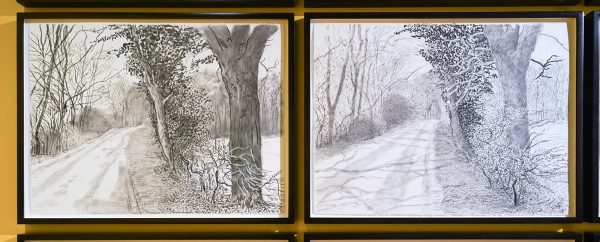 David Hockney - Het aanbreken van de lente in 2013 - Houtskool op 25 vellen papier (detail)