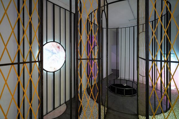 Frido Evers - Harvester - Installatie