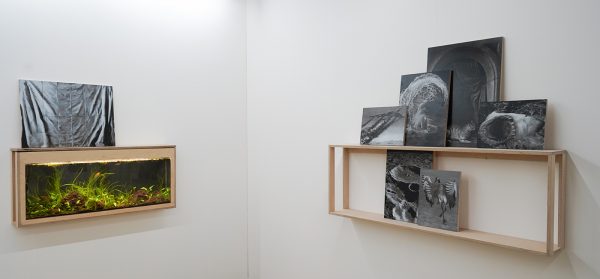 Roger Katwijk - Niek Hendrix