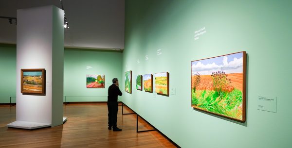 Van Gogh & David Hockney Overzicht