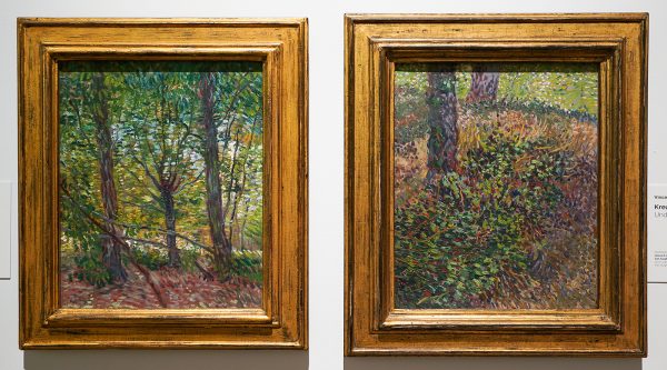 Vincent van Gogh - Bomen & Kreupelhout - Olieverf op doek, 1887