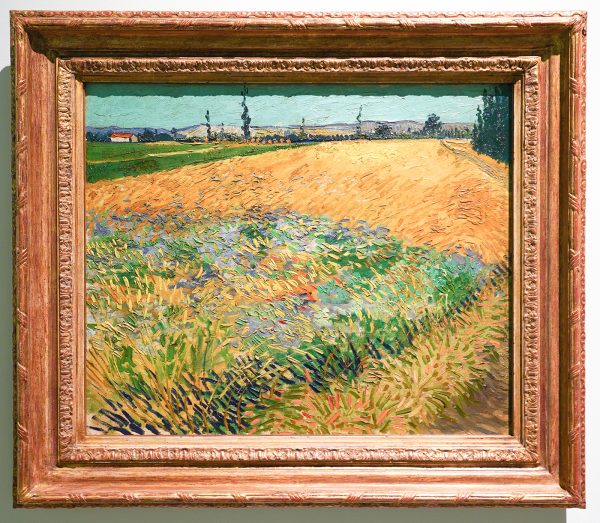 Vincent van Gogh - Korenveld - Olieverf op doek op karton, 1888