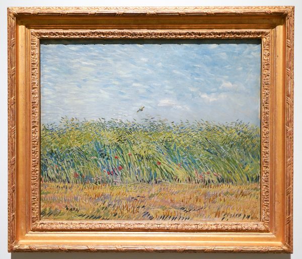 Vincent van Gogh - Korenveld met patrijs - Olieverf op doek, 1887