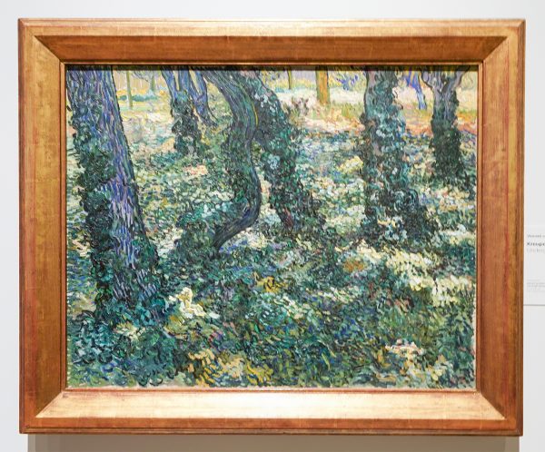 Vincent van Gogh - Kreupelhout - Olieverf op doek, 1889