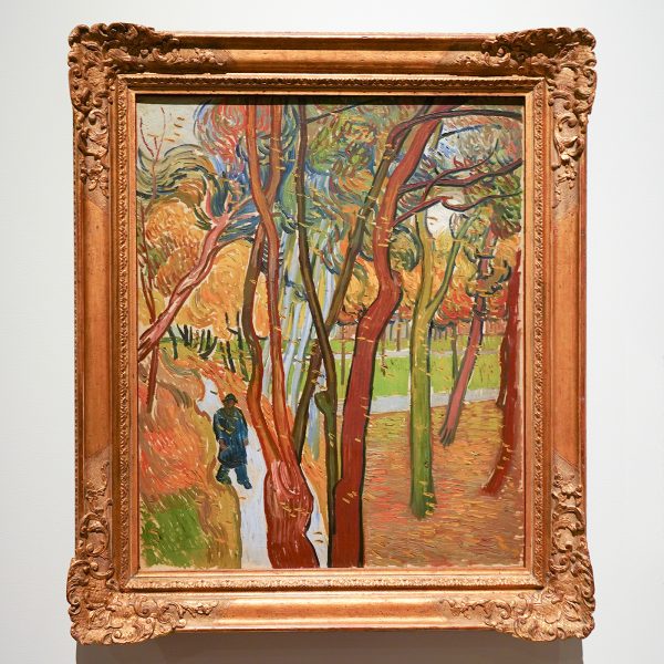 Vincent van Gogh - Tuin van de inrichting Saint-Paul (Het vallen van de bladeren) - Olieverf op doek, 1889