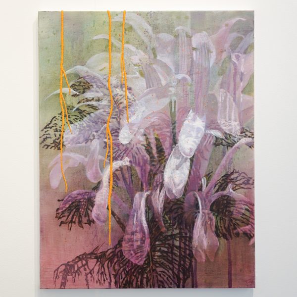 Contempo Galerie - Nikkie le Nobel