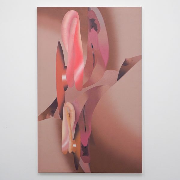 Hadassah Emmerich - Skin I of II - 125x75cm Olieverf linnen