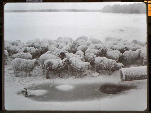 Jeroen Eisinga - Nightfall - 56,05minten Super 35mm naar 2K, zwartwit met stereo geluid