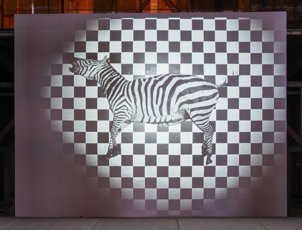 Jeroen Eisinga - Sehnsucht (Desire) - 8,59minten 16mm naar 2K, zwartwit zonder geluid