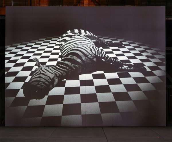 Jeroen Eisinga - Sehnsucht (Desire) - 8,59minten 16mm naar 2K, zwartwit zonder geluid