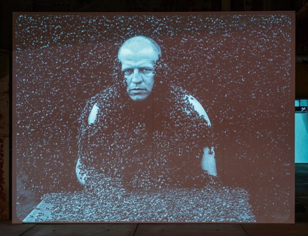 Jeroen Eisinga - Springtime - 19,05minten 35mm naar 2K, zwartwit zonder geluid