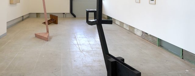 De academie van Enschede is altijd een beetje het buitenbeentje. Daar waar de meeste academies een vaak geruststellende kwaliteit laten zien, dat de aanstormende talenten keurig binnen de lijntjes schilderen, [&hellip;]