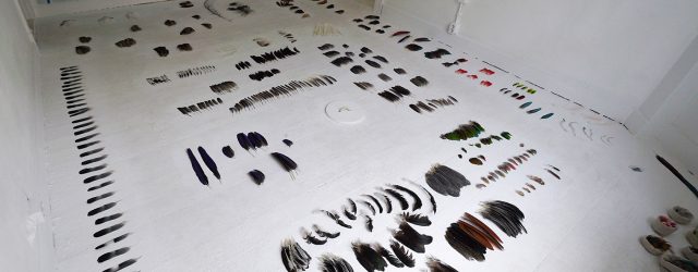 De academie van Maastricht is één van de kleinste van Nederland. Er studeren bij de beeldende kunst afdeling niet veel meer dan 10 studenten af per jaar. Daarnaast is het [&hellip;]