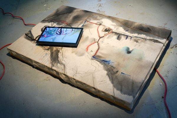 Noelle van der Schroeff