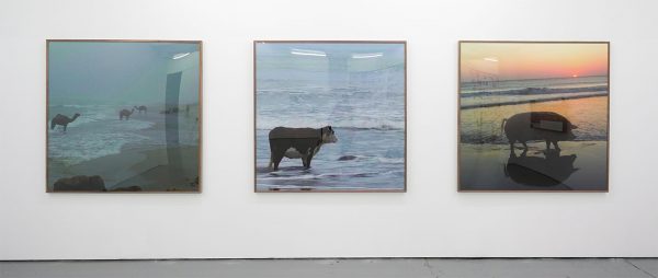 Daniel van Straalen - I miss u