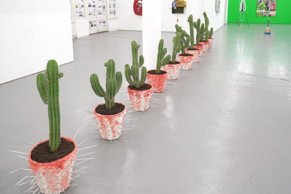 Daniel van Straalen - Sprit Plant