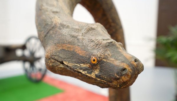 Marcel Broodthaers - Decor; a conquest by Marcel Broodthaers (XIXth and XXth Century) - Mixed media installatie (detail)