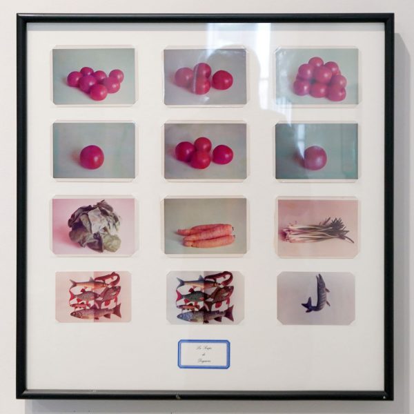 Marcel Broodthaers - La Soupe Daguerre - 54x52cm, 12 kleurenfoto's op papier, zeefdruk in zwart en blauw