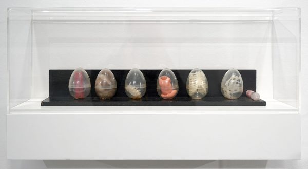 Marcel Broodthaers - Le Cycle de la Vie - Plastic eieren met speelgoed, haar, katoen, zandloper en beschilderde plank