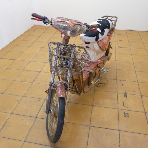 Copperfield - Eric van Hove