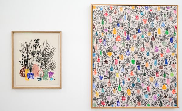 Double V Gallery - BD Graft