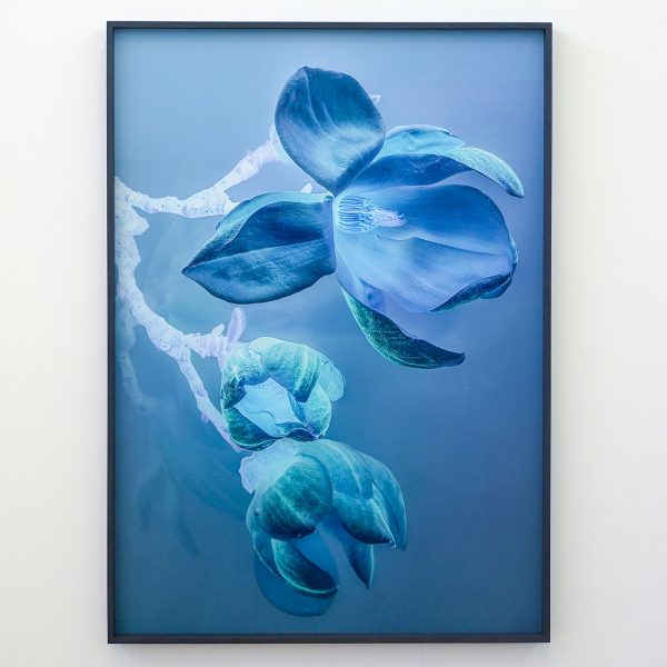 Francis Boeske - Danielle Kwaaitaal