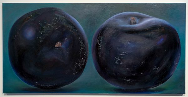 Ina van Zyl - The Idea And Its Shadow - 50x100cm, Olieverf op linnen