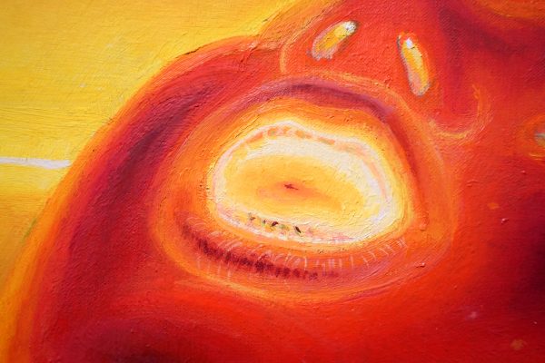 Michael Kirkham - Untitled - 60x80cm Michael Kirkham - Black Mirror - 80x60cm Olieverf op linnen (detail)