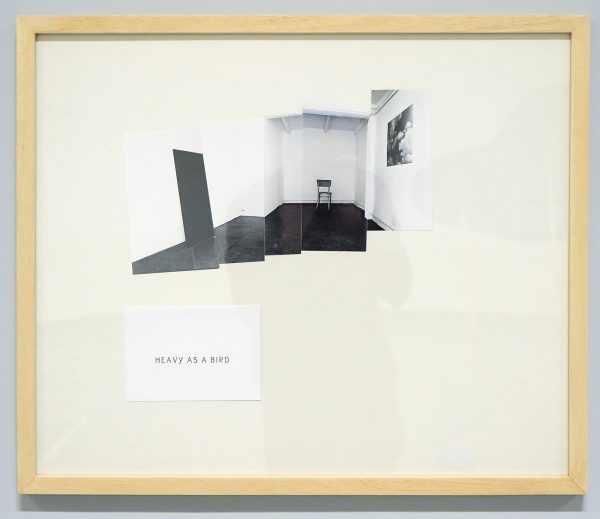 Sef Peeters - Zwaar als een vogel (?)